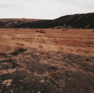Idaho Fields