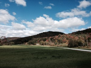 FullSizeRender.jpg-5